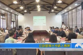 常德人海外大联盟成立