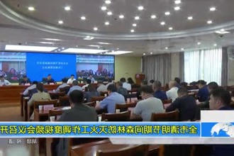 常德市清明节期间森林防灭火工作调度视频会议召开