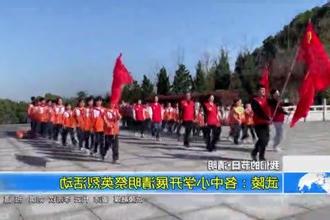 武陵：各中小学开展清明祭英烈活动