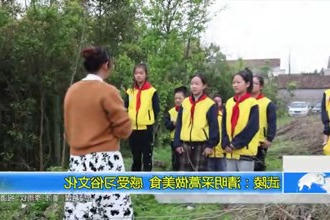 武陵：清明采蒿做美食 感受习俗文化