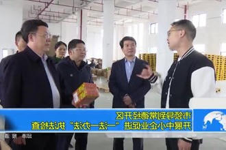 市领导到常德经开区开展中小企业促进