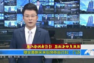 殷殷关怀暖沅澧 谆谆嘱托催人进(4月9日)