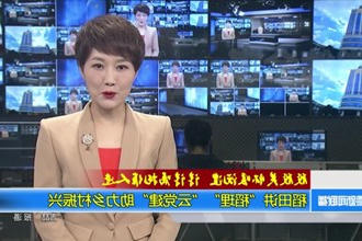 稻田讲