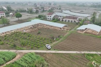 澧县：推进