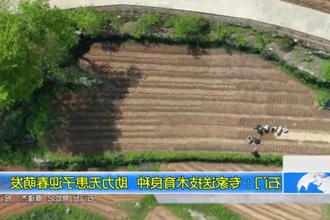 石门：专家送技术育良种 助力无患子迎春萌发