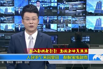 鼎城谢家铺镇：田里回来了年轻人