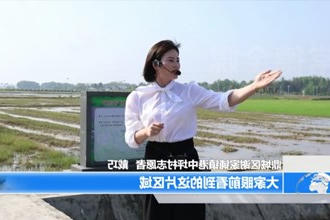鼎城谢家铺镇：