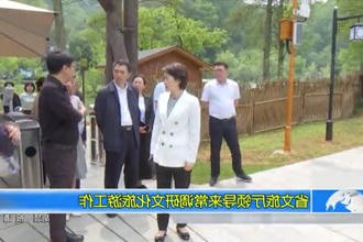 省文旅厅领导来常德调研我市文化旅游工作