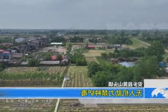 安乡县黄山头镇：无人机助力禁种铲毒