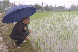 鼎城区草坪镇：农业知识送上门