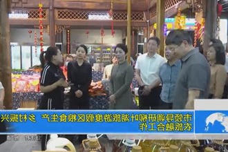 市领导调研柳叶湖旅游度假区粮食生产、乡村振兴、农旅融合工作