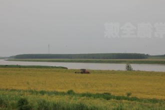 津市：20万亩油菜喜获丰收