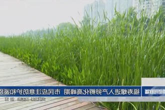 福寿螺进入产卵孵化高峰期 市民应注意防护和鉴别