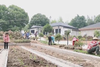 津市新洲镇：打造庭院经济