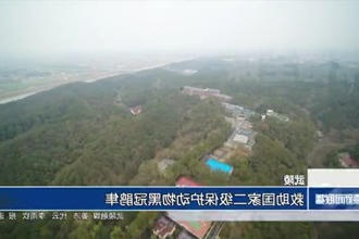 武陵：救助国家二级保护动物黑冠鹃隼