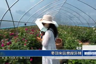 安乡：鲜花销售迎来旺季