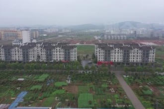 津市嘉山街道：办理群众