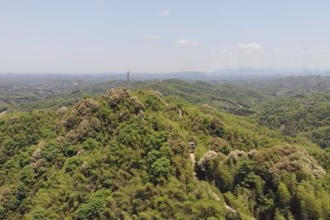 鼎城：烟剂薰杀竹煌 守护绿水青山