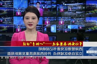 西湖管理区党委书记胡晓明：立足自身区域特点 开创西湖高质量发展新局面
