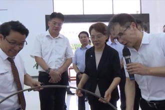 谢建辉来常德调研新能源产业暨绿色甲醇项目