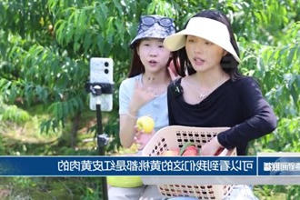 鼎城：打造＂零工驿站＂ 赋能乡村振兴
