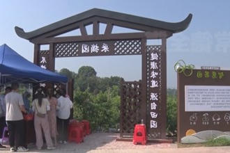 临澧：红色旅游带动农业