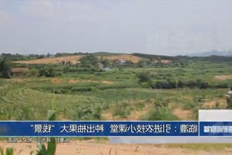 临澧：引进农技小课堂 种出柚果大