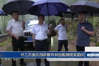 刘国龙到桃源巡林并督导防汛备汛工作