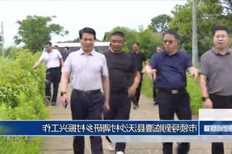 市领导到临澧县沃沙村调研乡村振兴工作