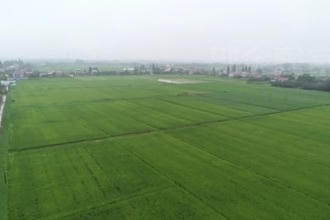 鼎城：全力防灾减灾 夺取夏粮丰收