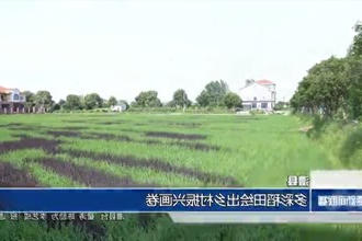 澧县：多彩稻田绘出乡村振兴画卷