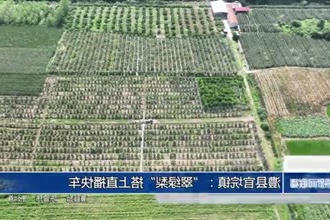 澧县官垸镇：