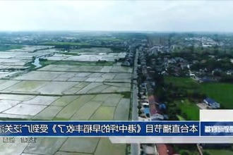本台直播节目《港中坪的早稻丰收了》受到广泛关注