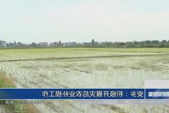 安乡：积极开展灾后农业补损工作