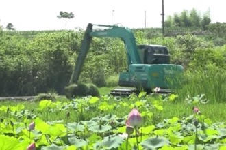 津市：荒地变良田 增收又增效