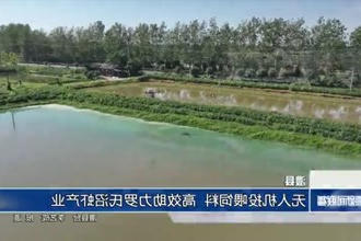 澧县：无人机投喂饲料 高效助力罗氏沼虾产业