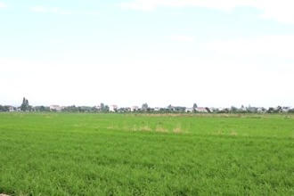 鼎城区韩公渡镇：植保无人机为晚稻保驾护航