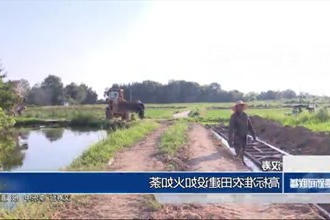 汉寿：高标准农田建设如火如荼