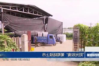 澧县：