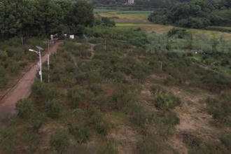 鼎城：