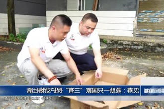 汉寿：救助一只国家