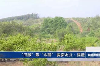 澧县：北水南调 