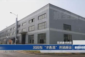 湖南财鑫集团：金融服务