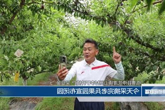 临澧：我家果子成了