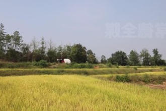 津市：