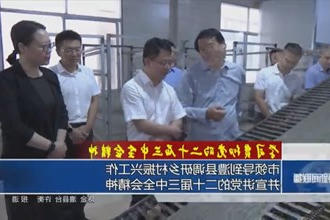 市领导到澧县调研乡村振兴工作并宣讲党的二十届三中全会精神