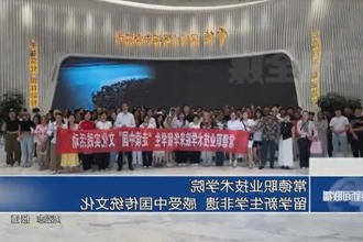 常德职业技术学院：留学新生学非遗 感受中国传统文化