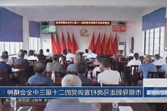市领导到走马岗村宣讲党的二十届三中全会精神