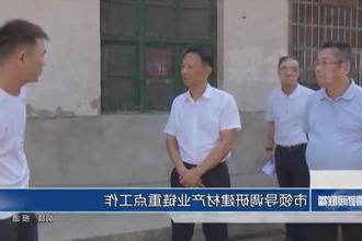 市领导调研建材产业链重点工作