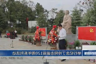 临澧：举行纪念丁玲同志诞辰120周年系列活动